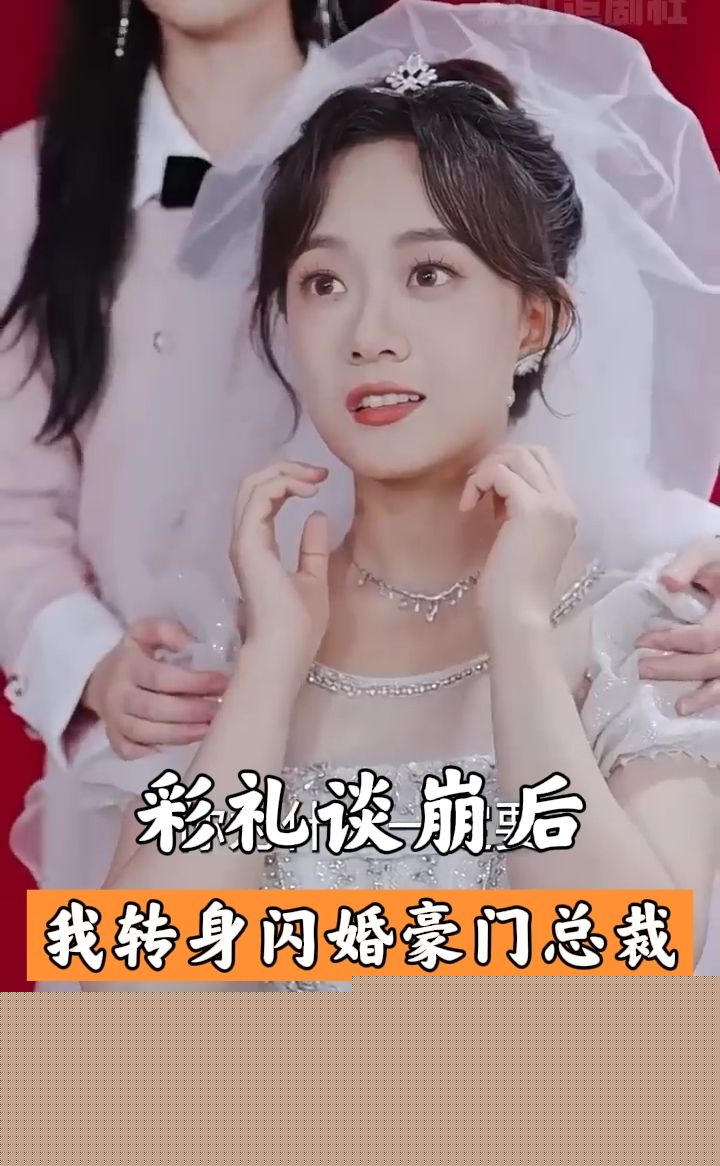 彩礼谈崩后,我闪婚了豪门老公