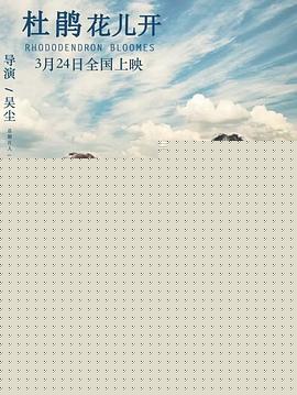 杜鹃花儿开