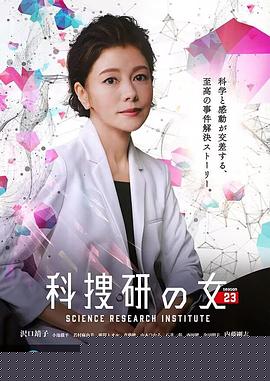 科搜研之女第23季