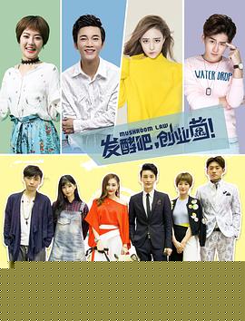 发酵吧，创业菌