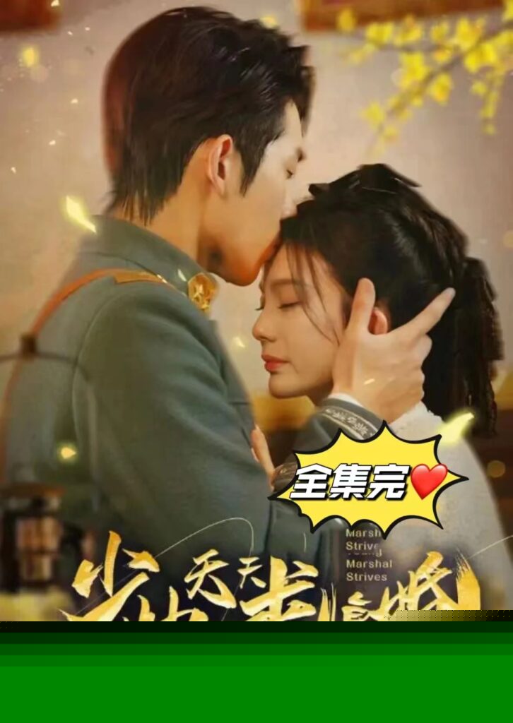 少帅天天求复婚