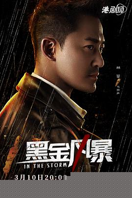 黑金风暴国语